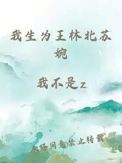 我生为王林北苏婉
