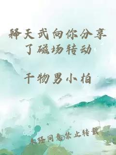 释天武向你分享了磁场转动