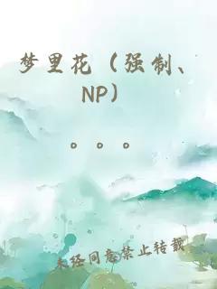 梦里花（强制、NP）