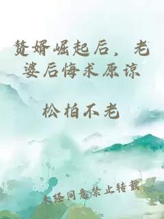 赘婿崛起后，老婆后悔求原谅